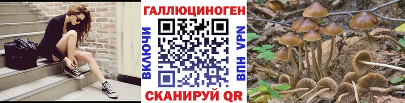 закладка  omg как войти  Псилоцибиновые грибы Cubensis  Алексин 