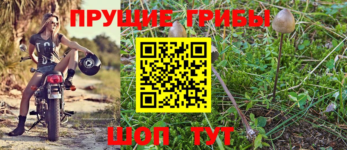 Галлюциногенные грибы ЛСД  Вход с VPN  Алексин 