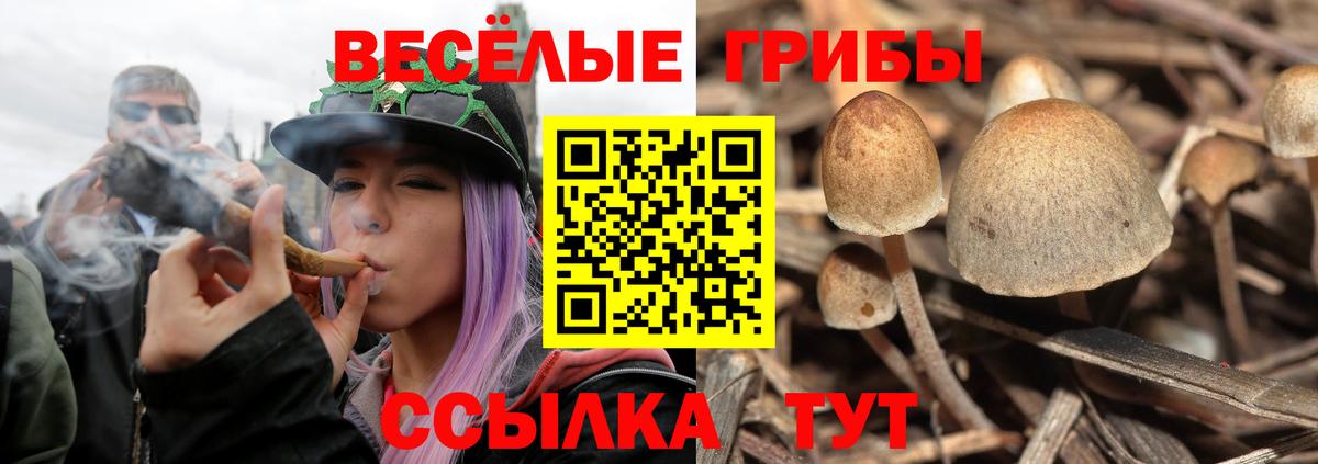 Галлюциногенные грибы ЛСД Алексин